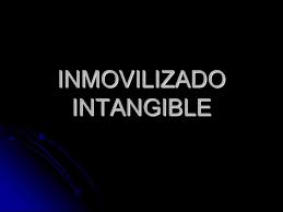 inmovilizado